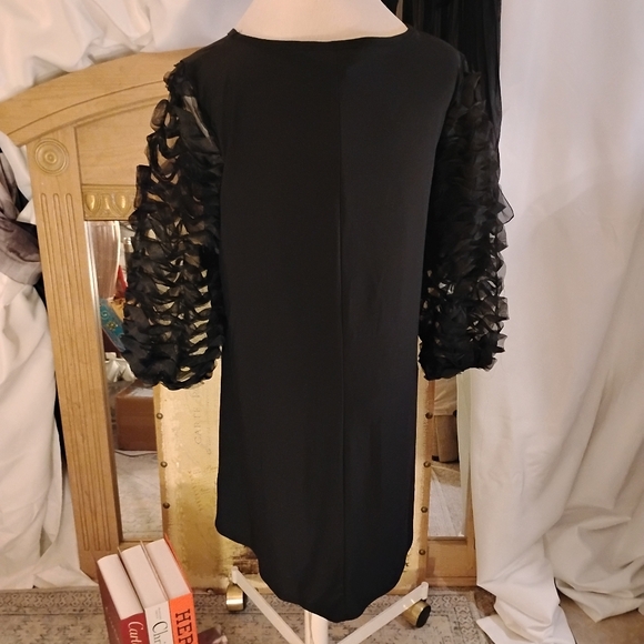 Nina Leonard Mesh Balloon Sleeves Elegant Black Dress. Loose Fit. Size Medium. - Picture 5 of 13
